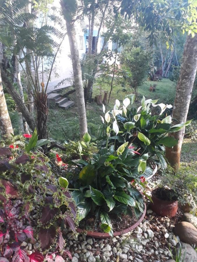 Chacara Da Promessa De Deus Villa Icatuacu Exteriör bild